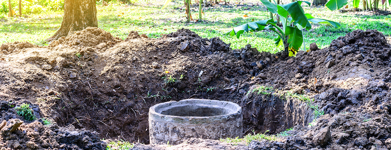 Ensuring a Healthy Septic System with Live Bacteria