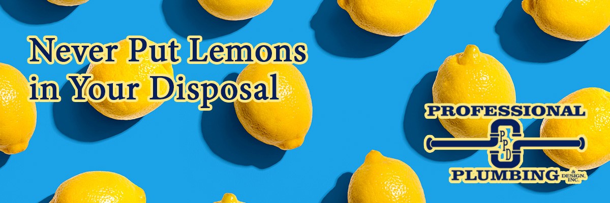 lemon-blog